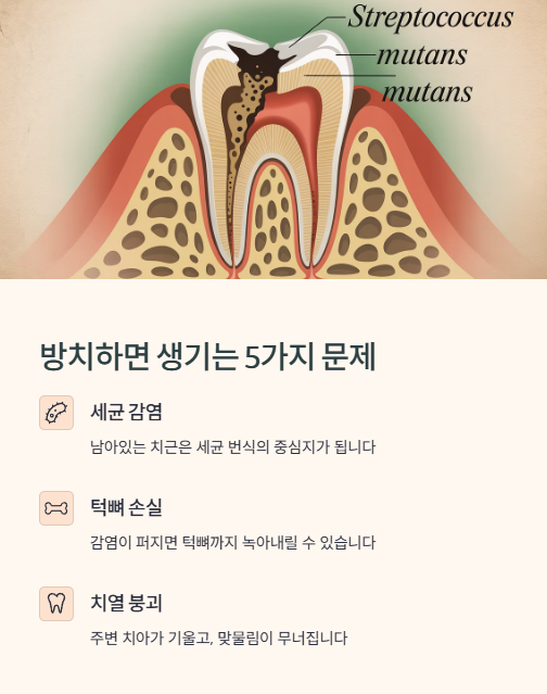 방치하면 생기는 문제