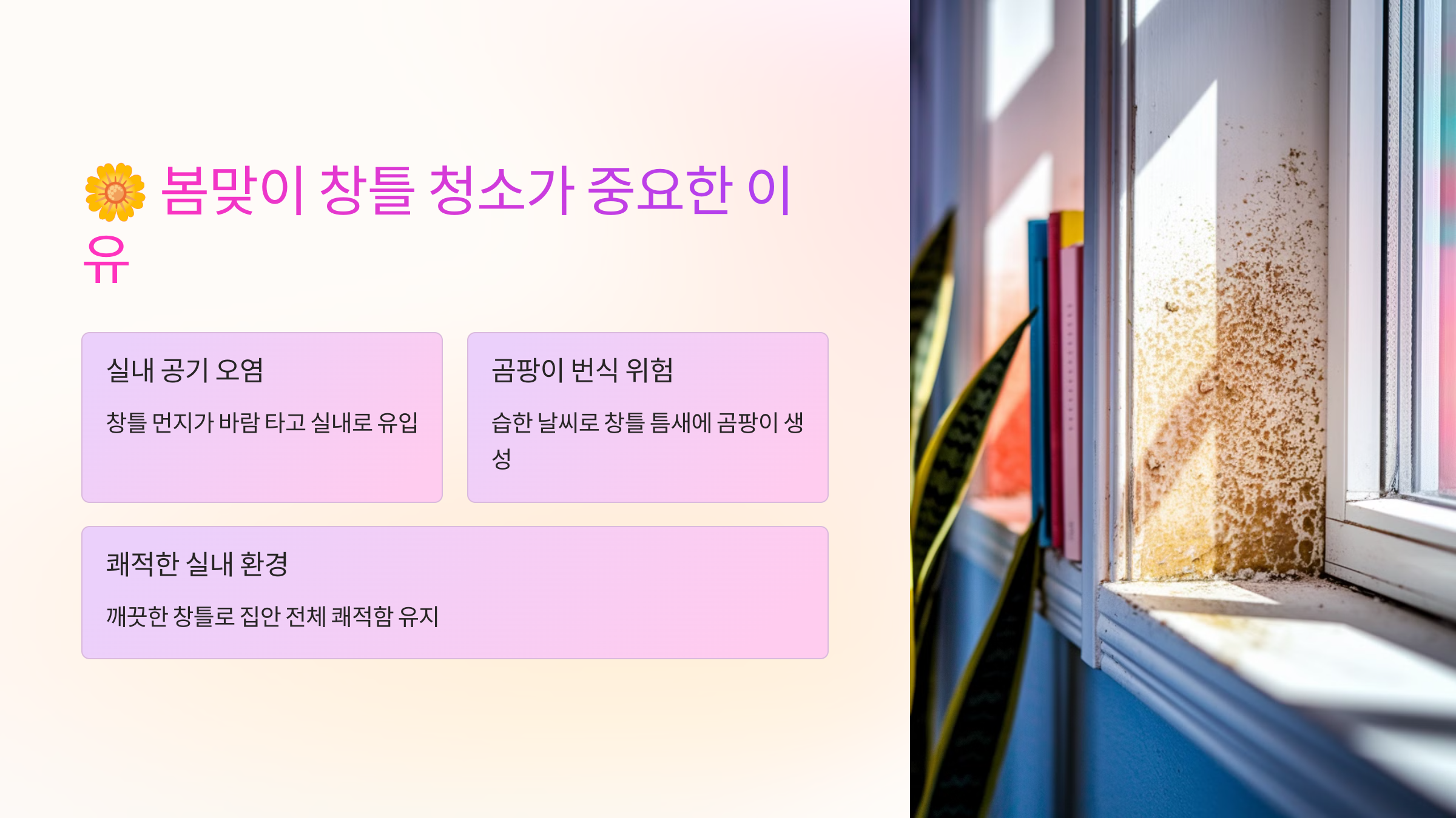 🌼 봄맞이 창틀 청소가 중요한 이유