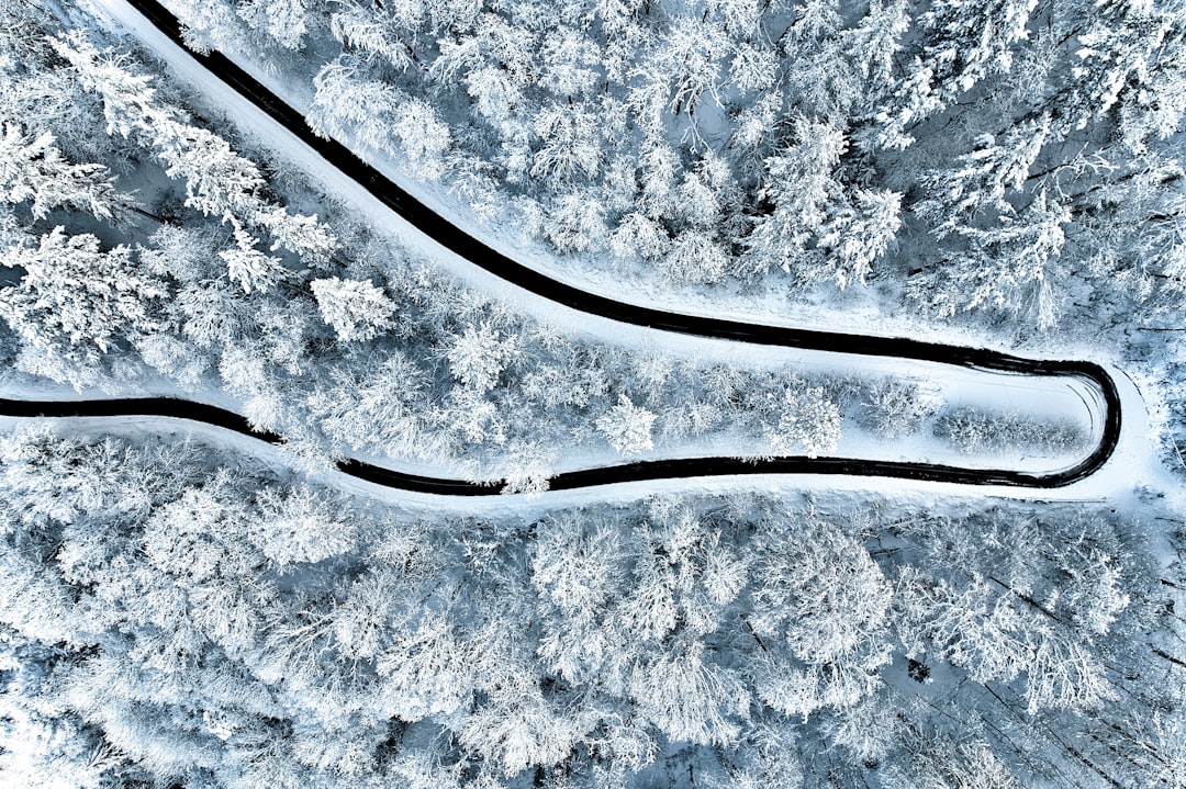 Snow Chain