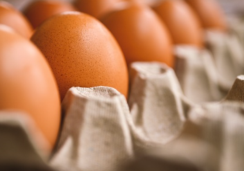 계란말이 맛있게 하는법