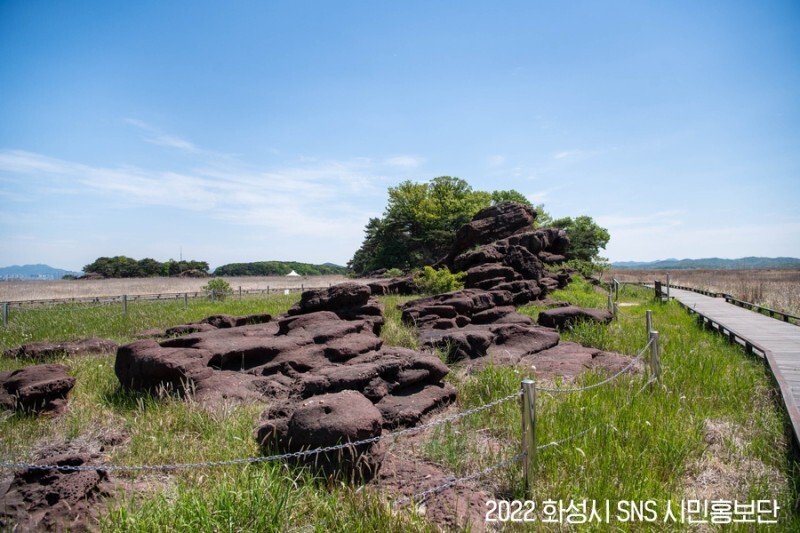 공룡알 화석 산지