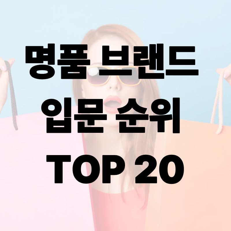 명품브랜드 입문 순위 TOP20