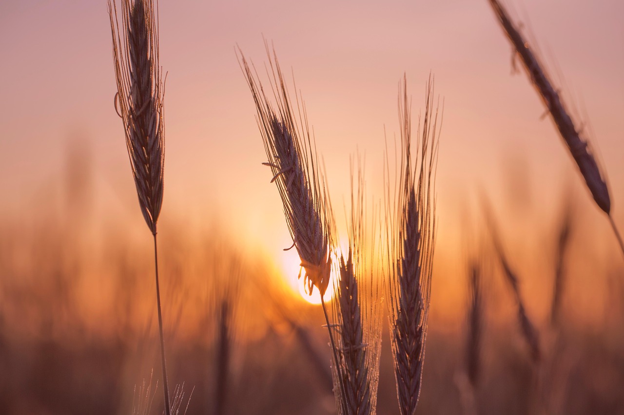 탄소중립포인트 신청