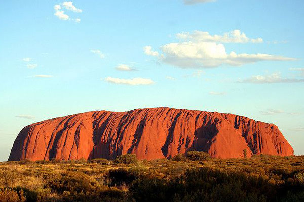 강인한 토양위의 바위