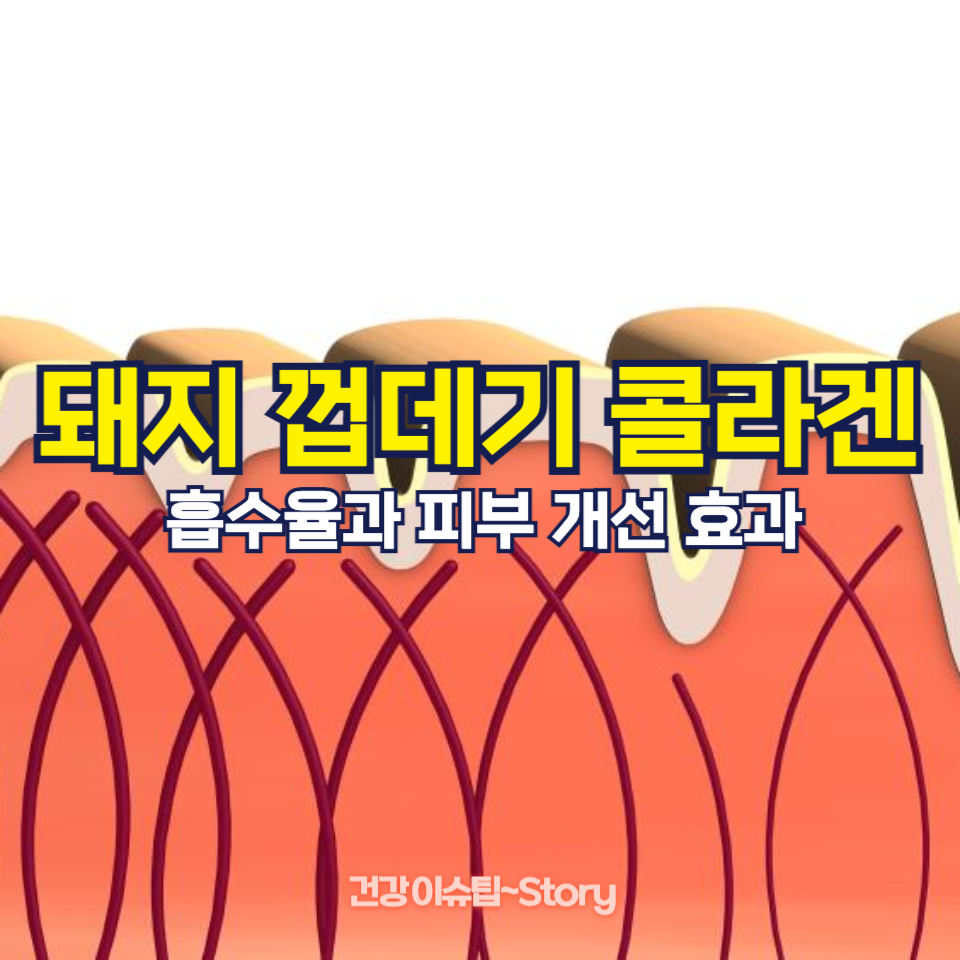 돼지 껍데기 콜라겐