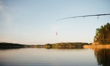 낚시터 창업에 대하여 알아보기