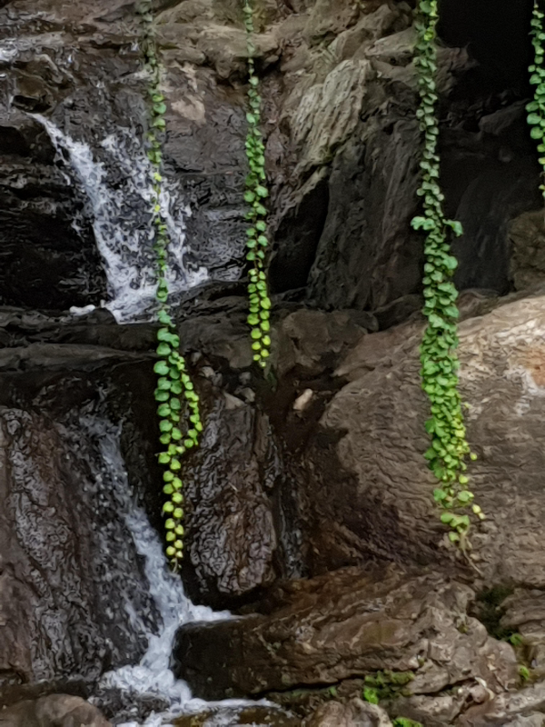 풍경4