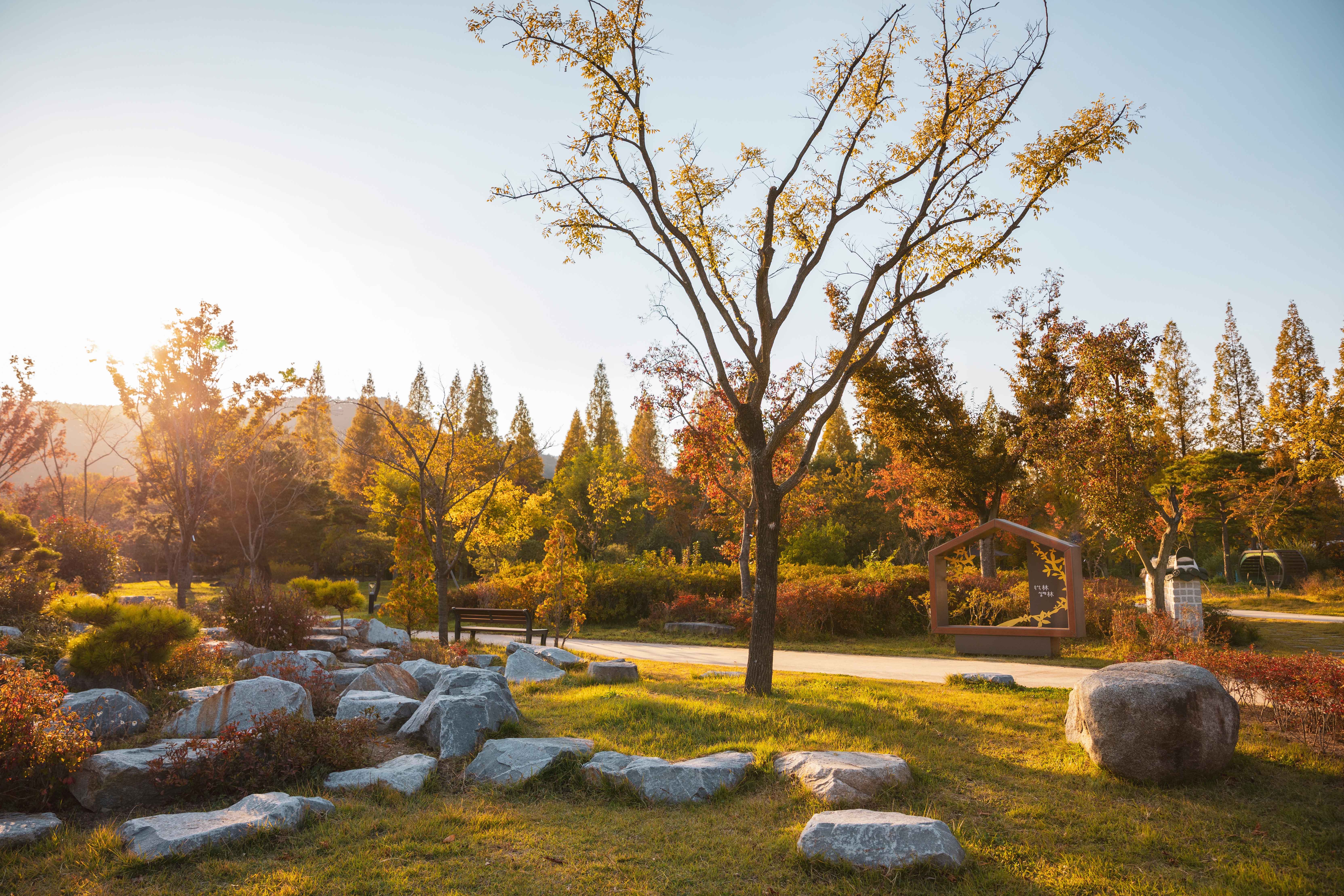 경북천년숲정원