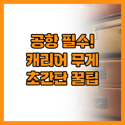 공항에서 당황 없이 캐리어 무게 줄이..