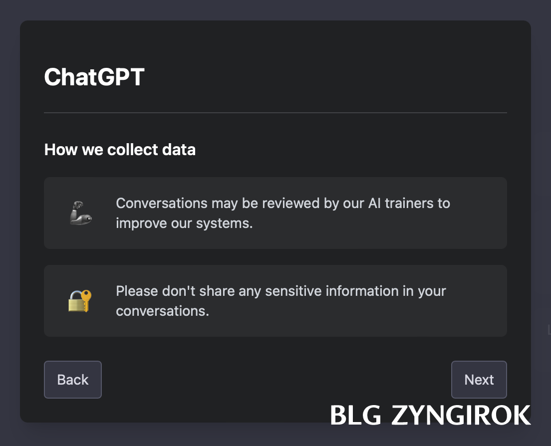 ChatGPT 사용 설명 모습이다.