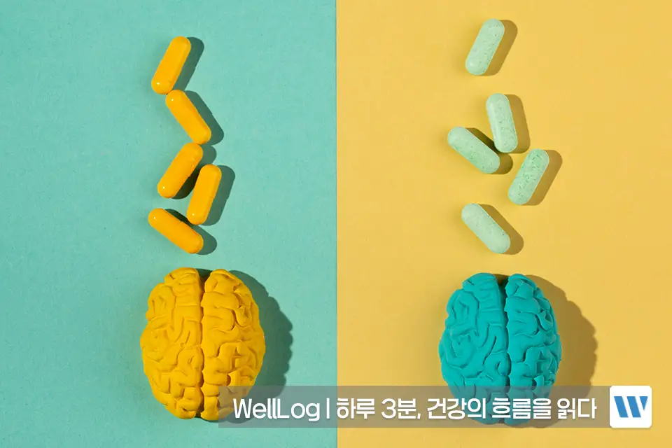 포스파티딜세린 오메가3 효능 비교