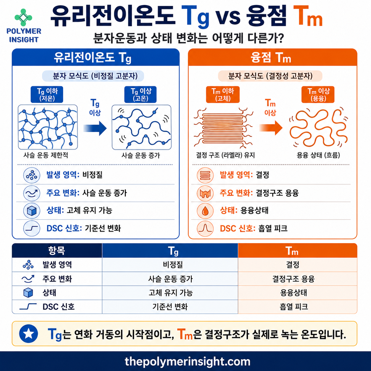 플라스틱 유리전이온도 Tg와 융점 Tm의 비정질 사슬 운동, 결정구조 용융과 DSC 신호 차이를 비교한 인포그래픽