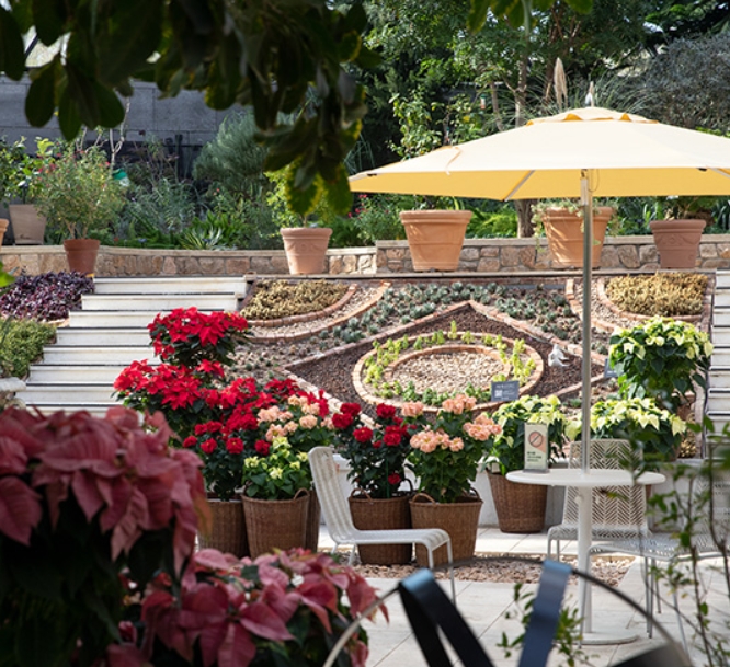 서울에서 즐기는 무료 문화행사