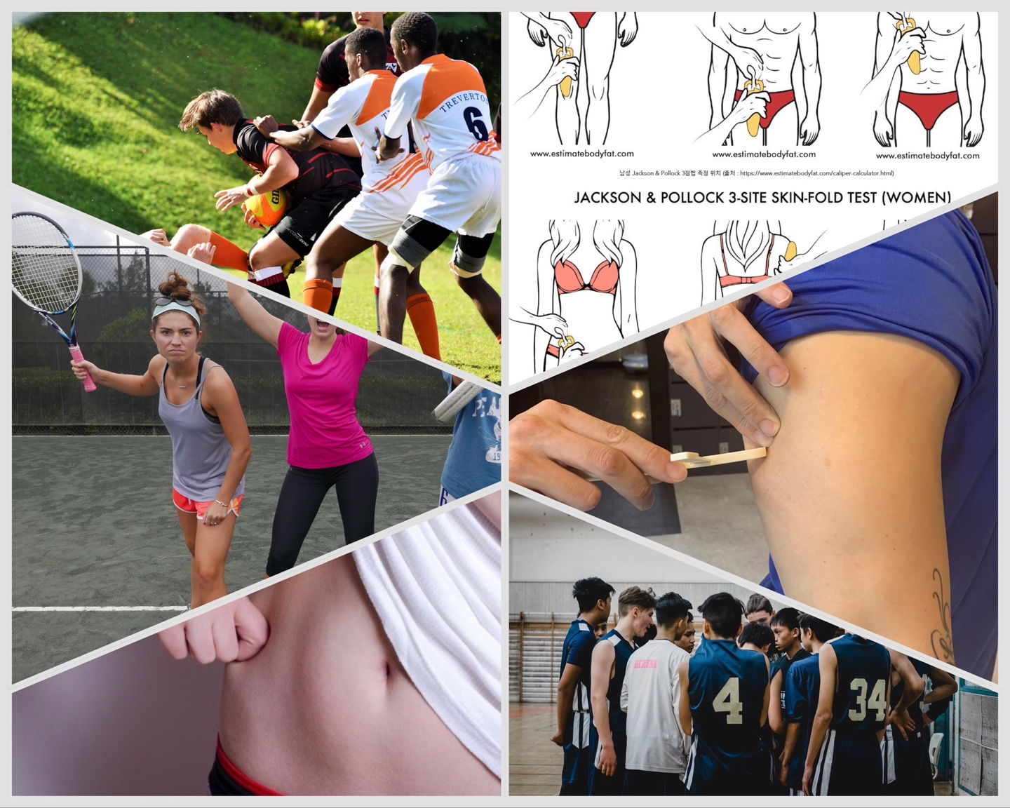 체지방의 측정 방법