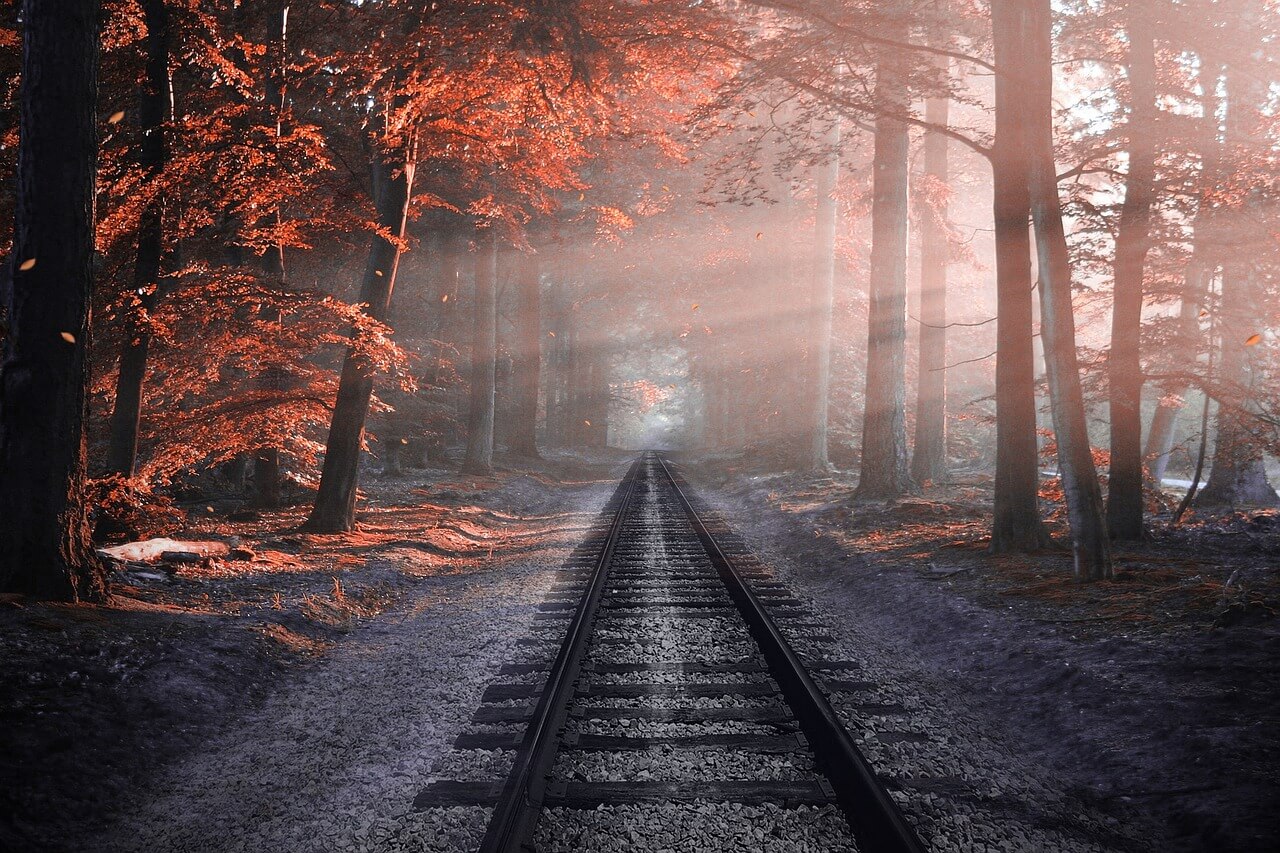 코레일 공식 KTX 시간표 확인 방법