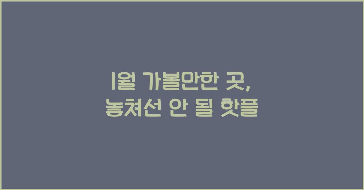 1월 가볼만한 곳