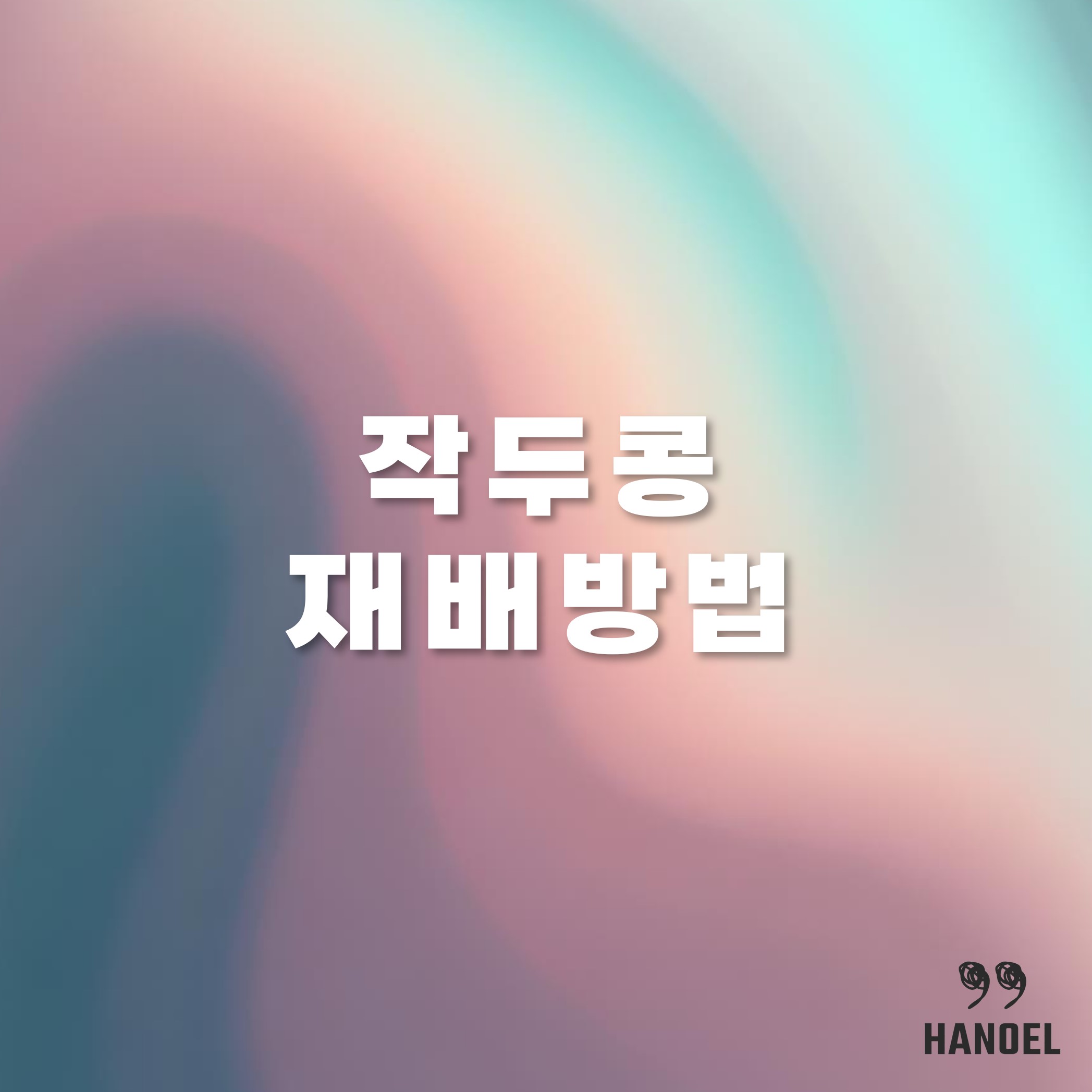 작두콩 재배방법 소개 심는시기 모종 키우기