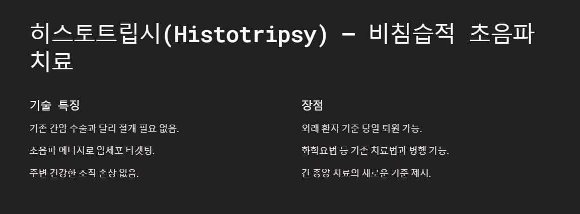 히스토트립시 시스템을 사용해 간 종양을 비침습적으로 제거하는 의료 절차를 시각적으로 묘사한 이미지