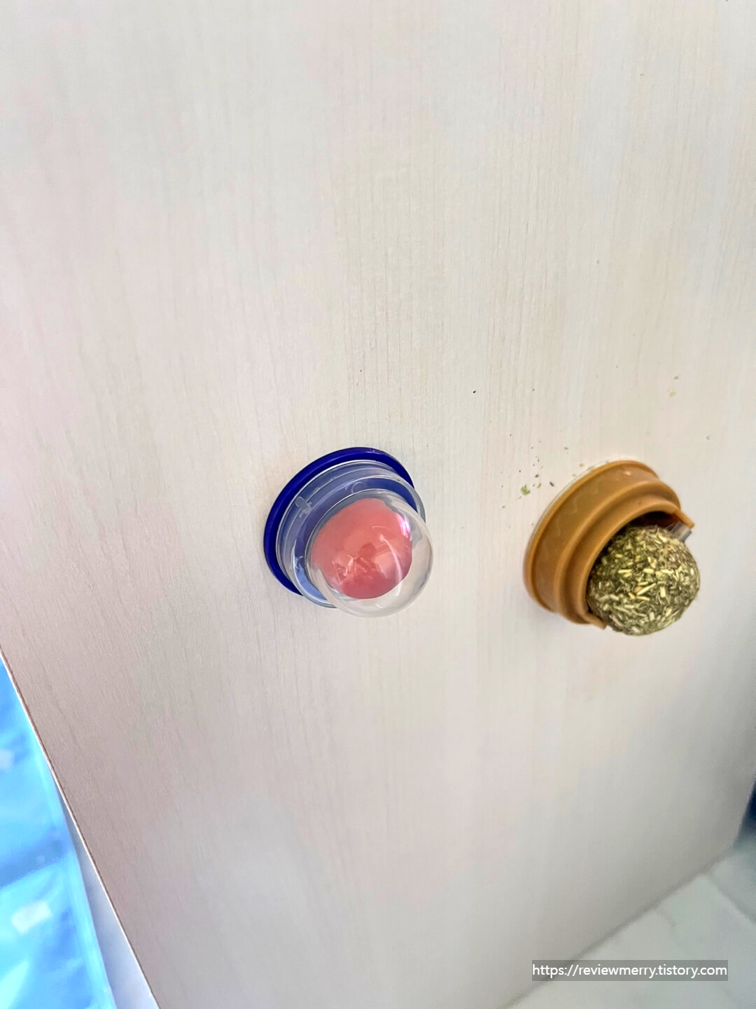 사탕 부착 사진