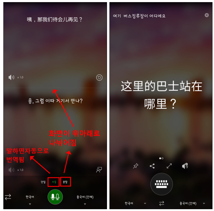중국어 번역기 소개
