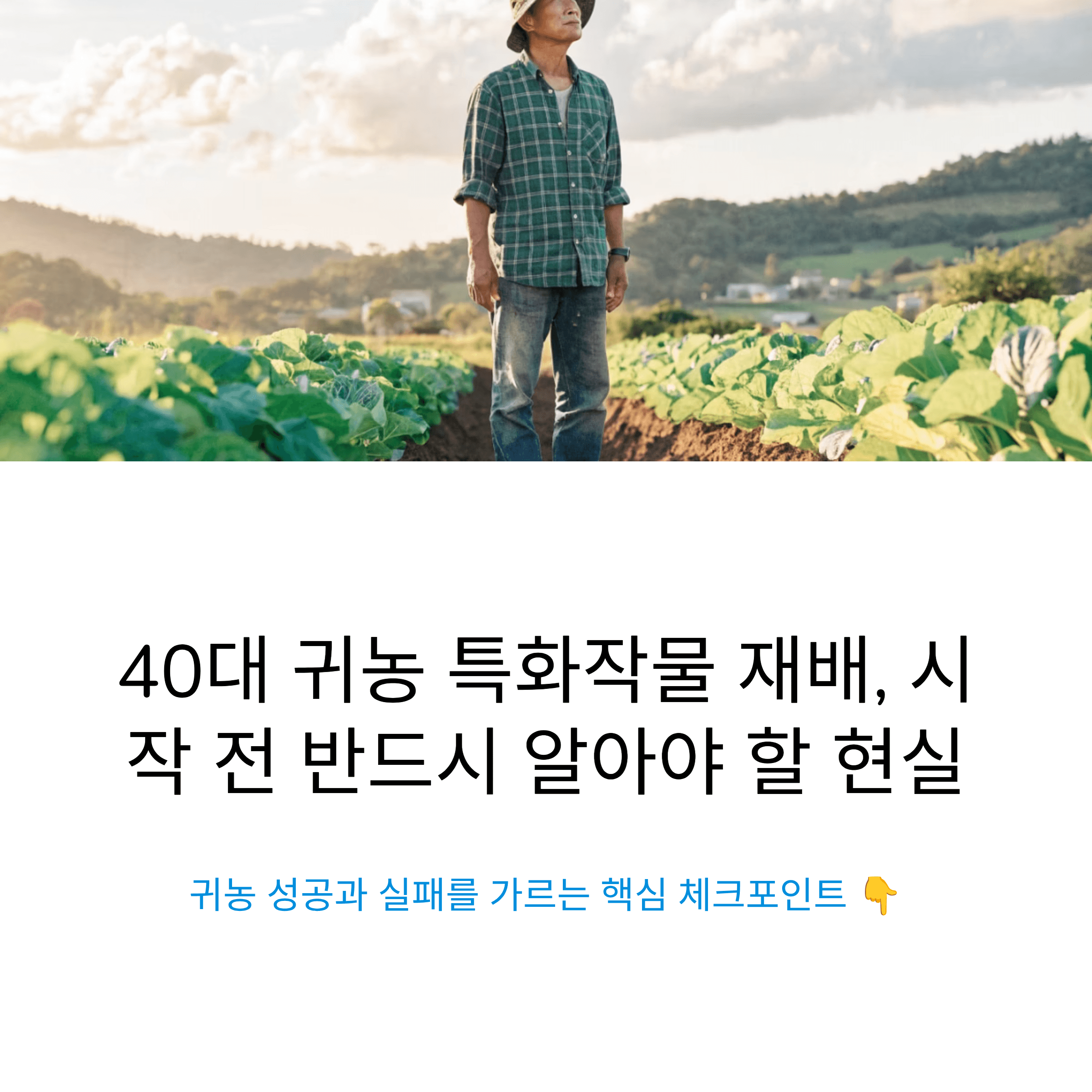 40대 귀농을 준비하는 분들이 특화작물 재배 전에 꼭 짚어야 할 현실적인 체크포인트