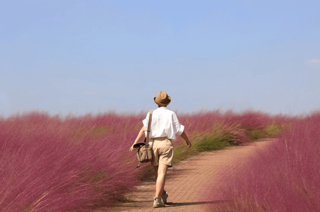 똑똑하게 떠나는 감성 여행 가이드