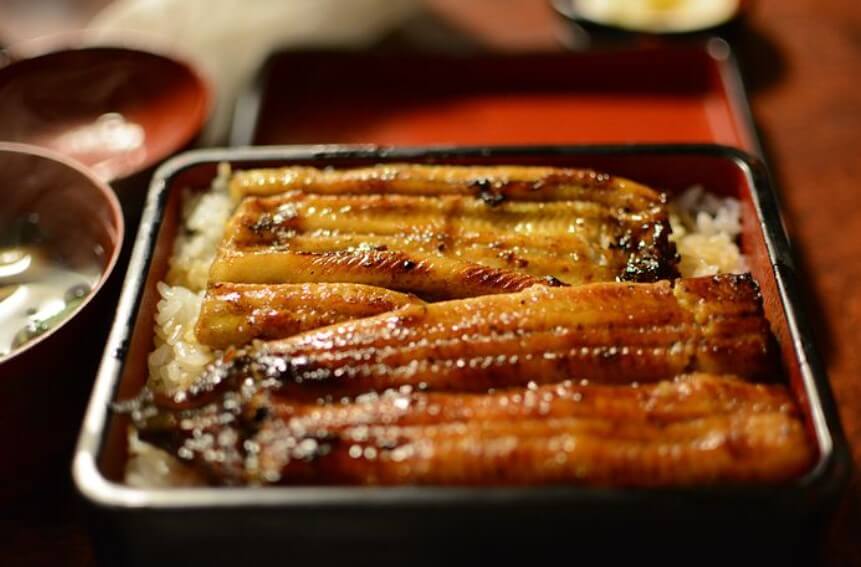 질환에따라독이되는음식-장어
고콜레스테롤에독이되는장어