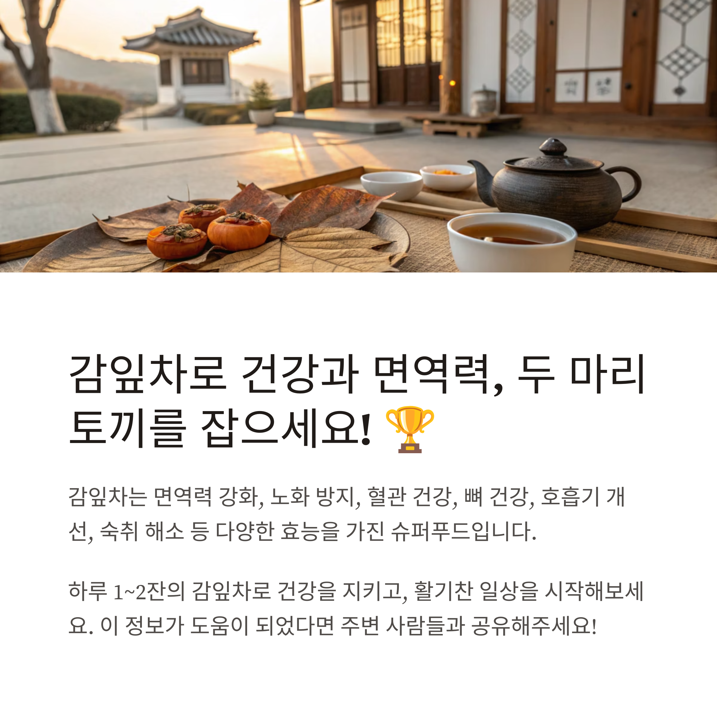 감잎차 효능