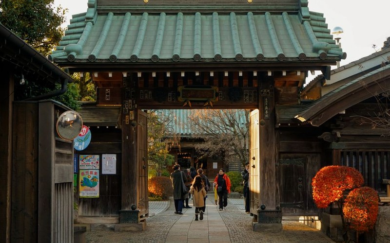 화담숲 단풍 시기와 예약, 2026 성수기 일정 및 모노레일 요금 완벽