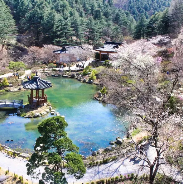 아침고요수목원-입장료-운영시간-관람안내