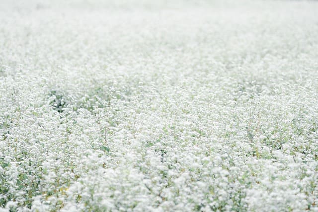 5월 국내여행지 추천