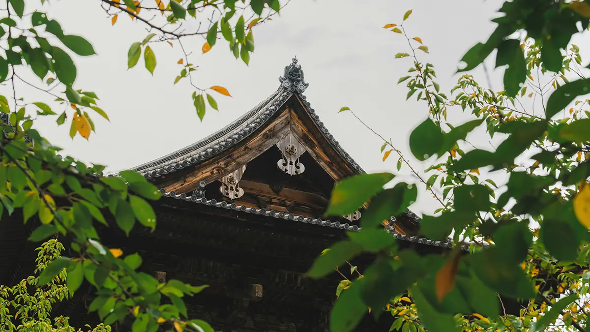 긴자 꿀벌 프로젝트, 도시 생태계 회복의 성공 비결은?