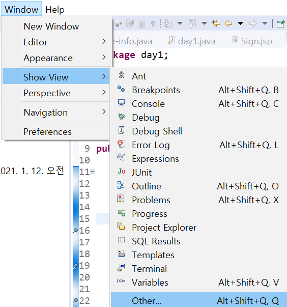 Expressions 안보일때