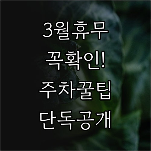 홈플러스 상인점 3월 휴업 날짜 운영..