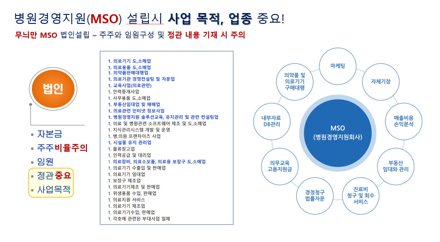 병원 MSO 설립, 목적사항
