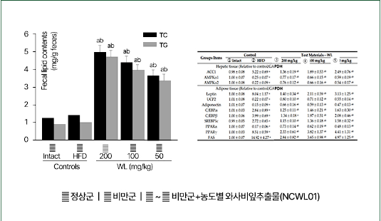 소우코우 이소비텍신 후기, 부작용