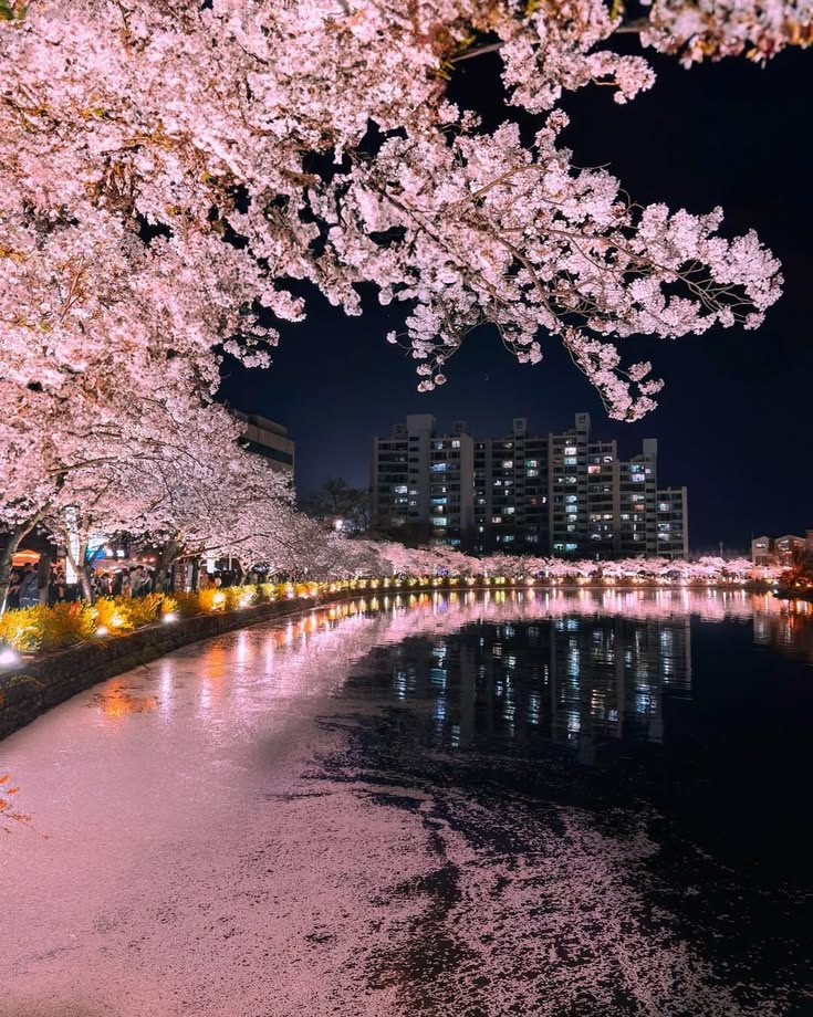 김천 아이와 가볼만한곳 연화지