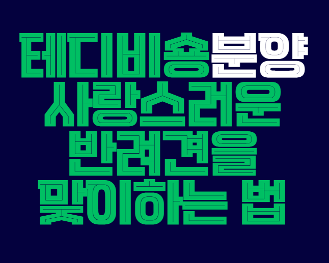 테디비숑