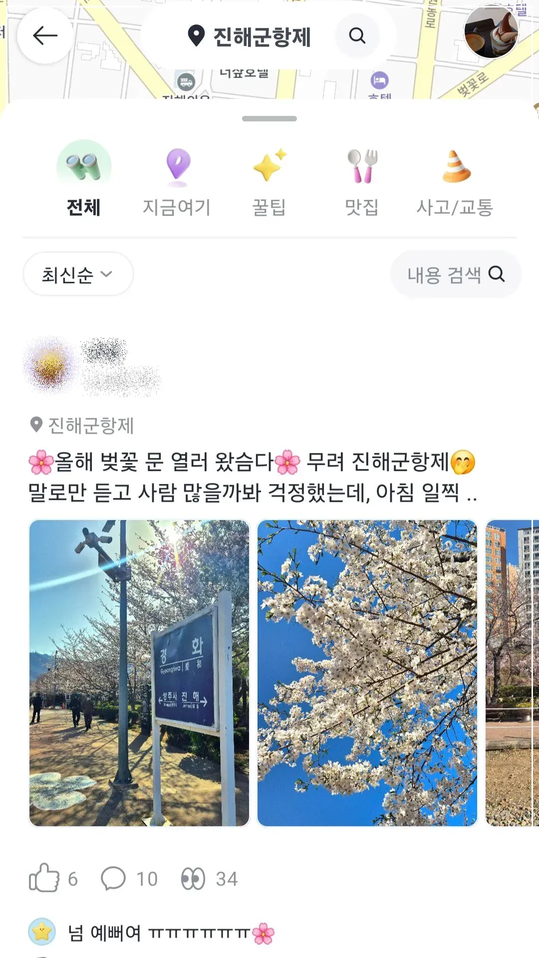 카카오티-진해-군항제