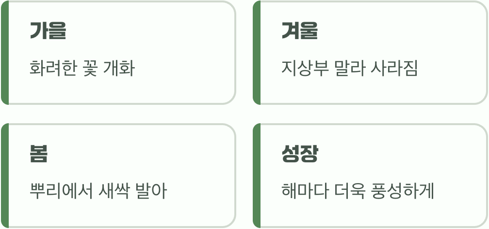 추운 겨울도 두렵지 않은 생명력