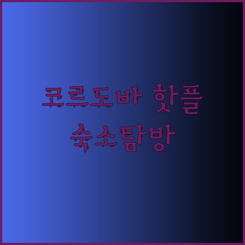 코르도바 핫플 숙소 탐방기! Soci
