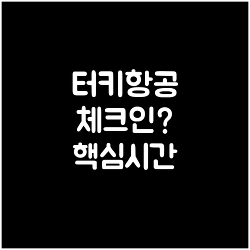 터키항공 온라인 체크인 시간과 방법 ..