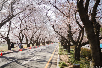 경주 흥무로