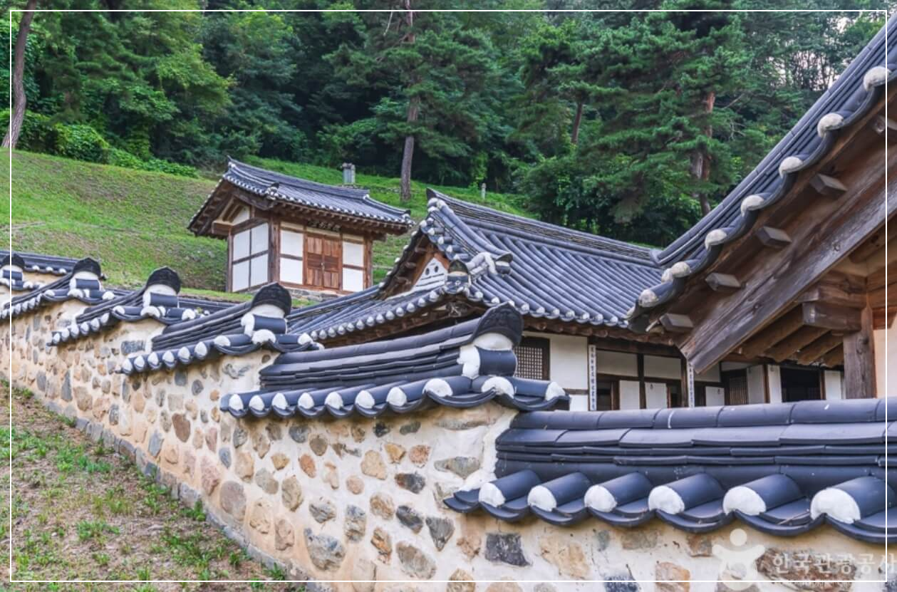 보은 가볼만한곳 베스트10 보은 풍림정사