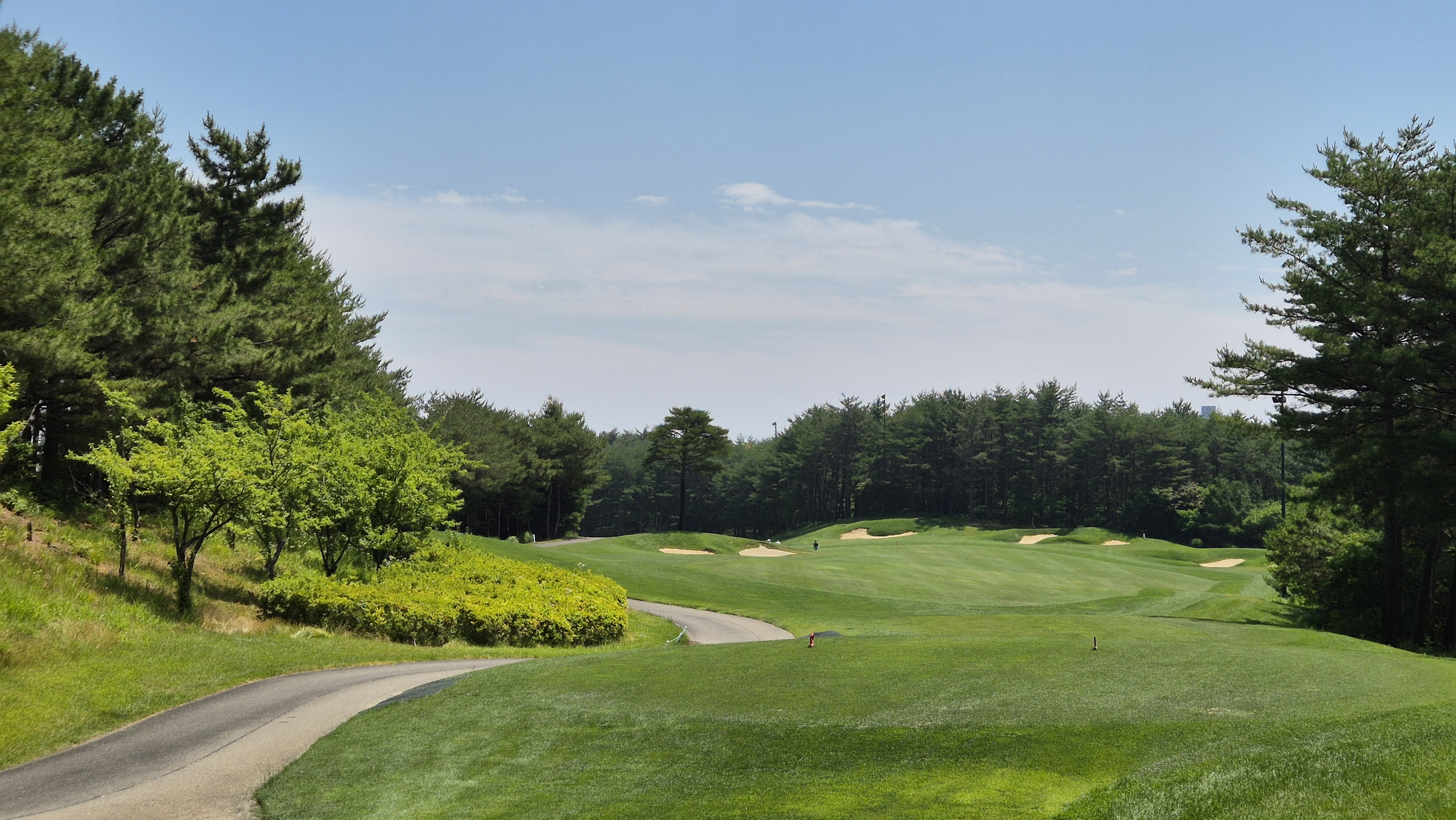 파인리즈cc 후기 및 코스사진