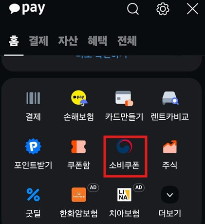 민생회복 소비쿠폰 잔액조회