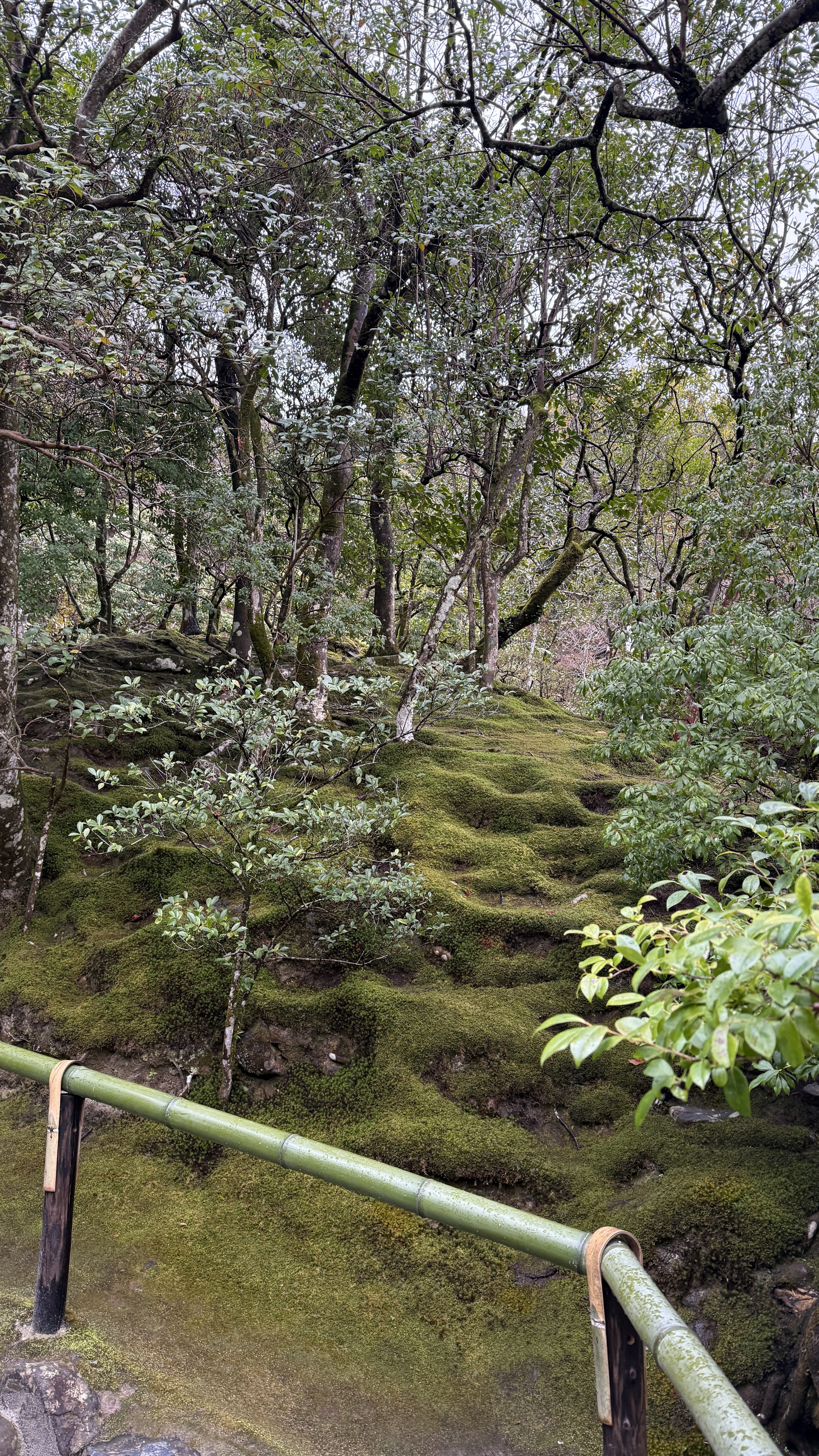 교토-꼭-가봐야-할-곳-교토-은각사-긴카쿠지-조용한-산책-코스-추천