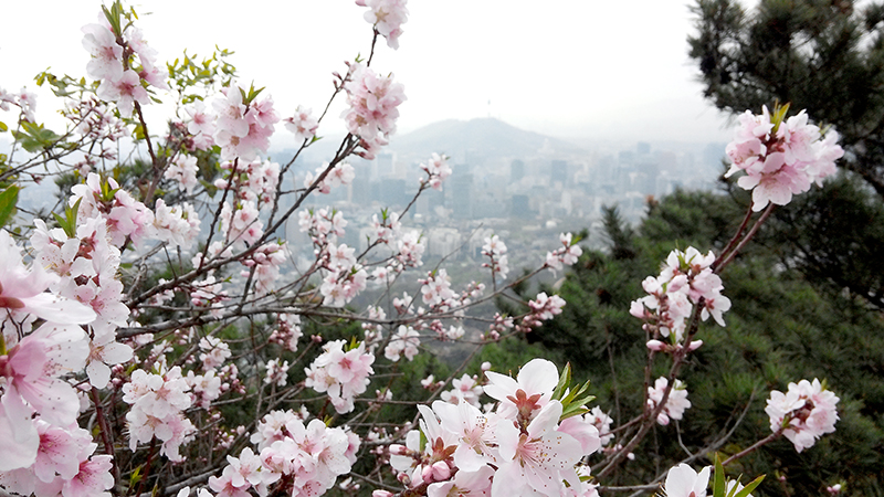 인왕산(仁旺山, Inwangsan)