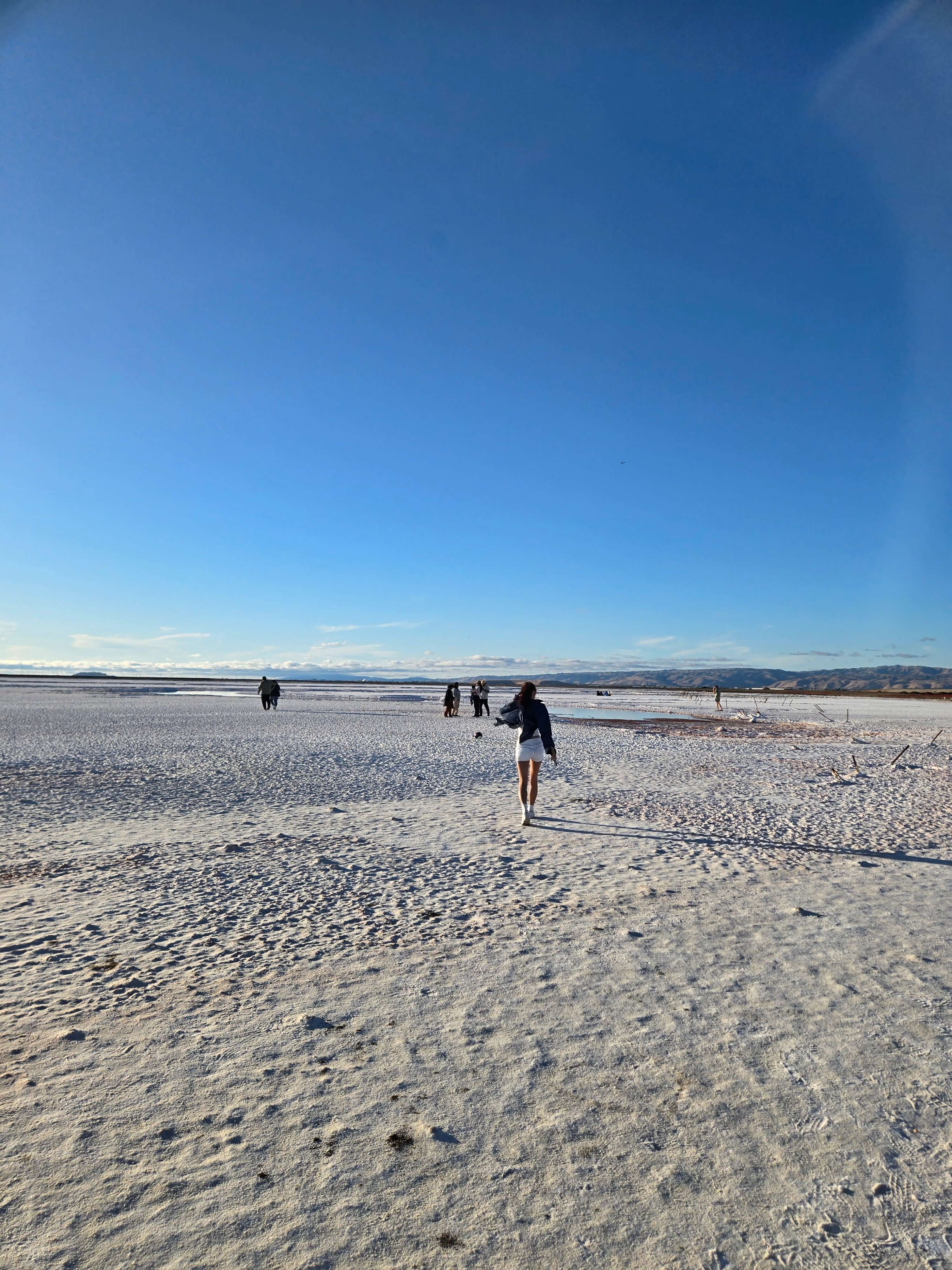 아이들과 함께 산호세 2주 살기(Our 2-Week Stay in San Jose) 관련사진