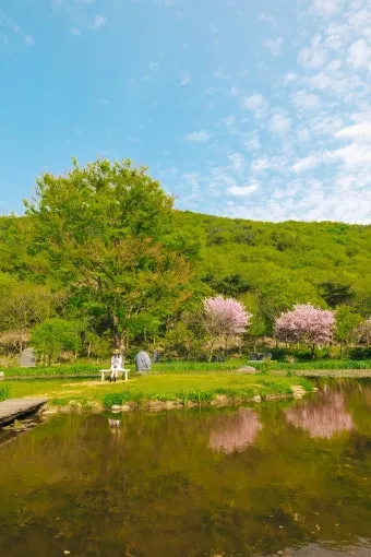 개화예술공원 입장료 보령 식당 가볼만한곳_18